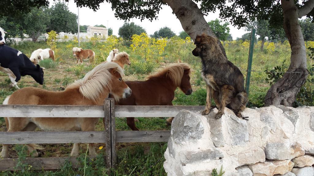 Vila Masseria Boscorotondo Scicli Exteriér fotografie